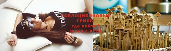 эйфоретик Балахна