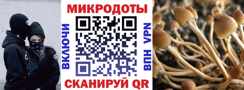 Галлюциногенные грибы GOLDEN TEACHER  купить  сайты  кракен вход  Ясногорск 